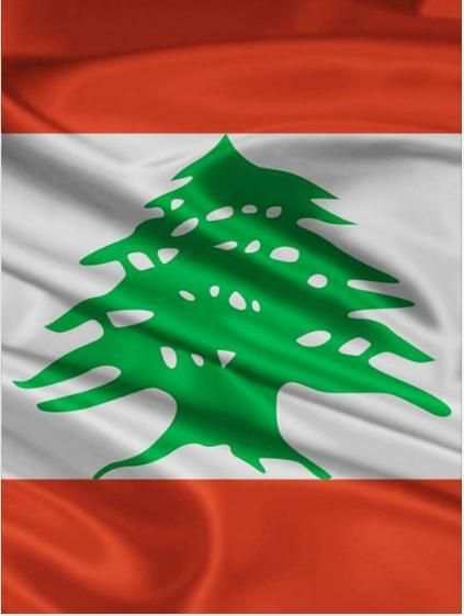 Lebanon News - اخبار لبنان - All In One स्क्रीनशॉट 1