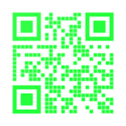 Block Chain QReader icon