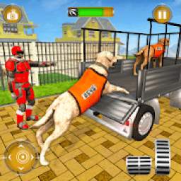 Doctor Robot Transport Pets:AnimalsTransporter