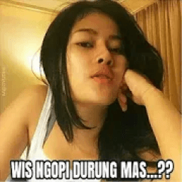 Wa Sticker Meme Lucu WaStickersApps icon