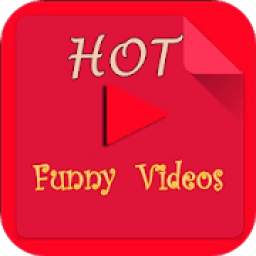 Hot Funny Videos
