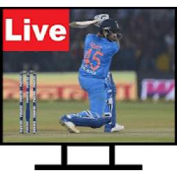 Cricket Match 4.1