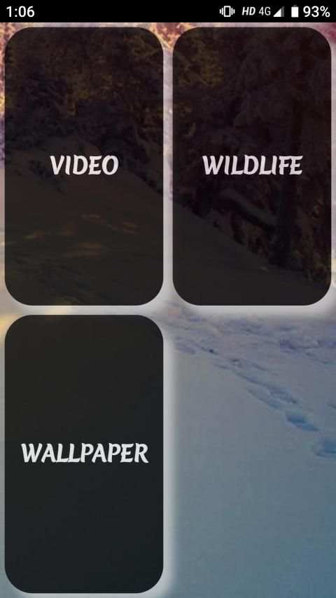DX Pixels screenshot 2