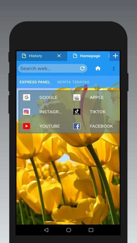 fc browser screenshot 2