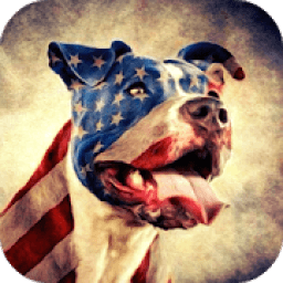 ikon Pitbull Dog HD Lock Screen