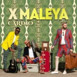 X-Maleya Songs icon