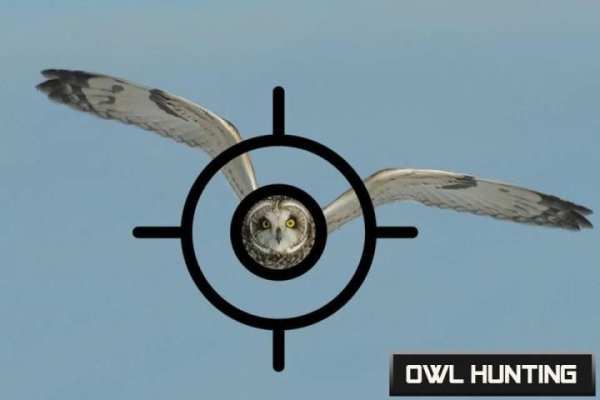 Birds Hunter Challenge: Bird Hunting Games स्क्रीनशॉट 2
