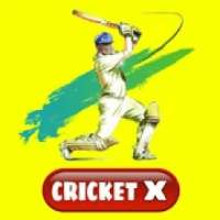 Cricket X