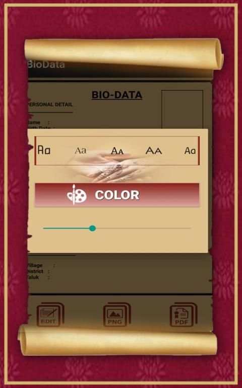 Bio Data Maker screenshot 2