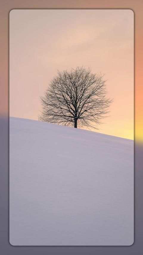 Picholic 4K Wallpaper screenshot 3