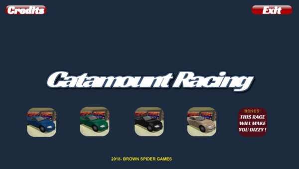 Catamount Racing screenshot 5