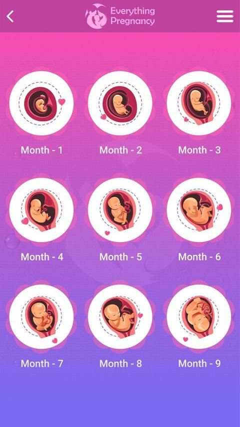 Everything Pregnancy - Your Pregnancy Tracking App screenshot 7
