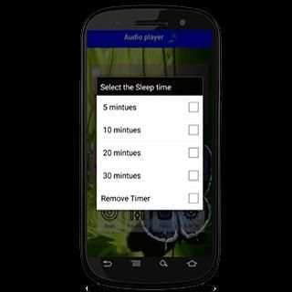 Audio Player (mp3,mp4) screenshot 1