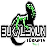 TURKIPTV v1 on 9Apps