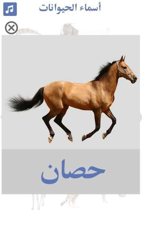 تعليم أسماء الحيوانات
‎ screenshot 1