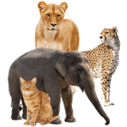 تعليم أسماء الحيوانات
‎ icon