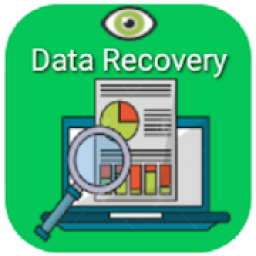 ikon Data Recovery Sw