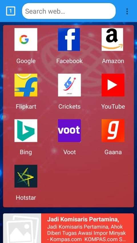findpro browser screenshot 3