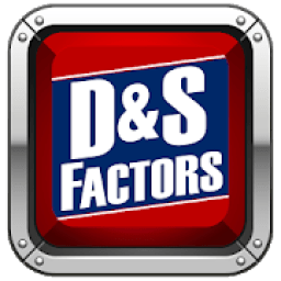 ikon D&amp;S Factors