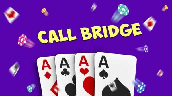 Call Bridge screenshot 1