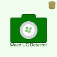 WeedUG Detector