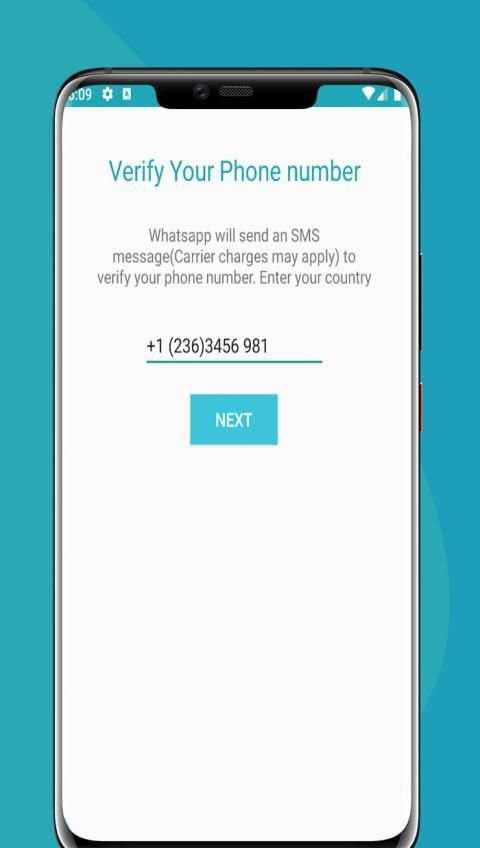 FmWhats Full Version screenshot 3