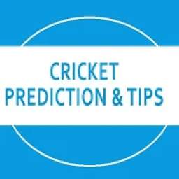 Natwest & TNPL Cricket Prediction-Best Prediction