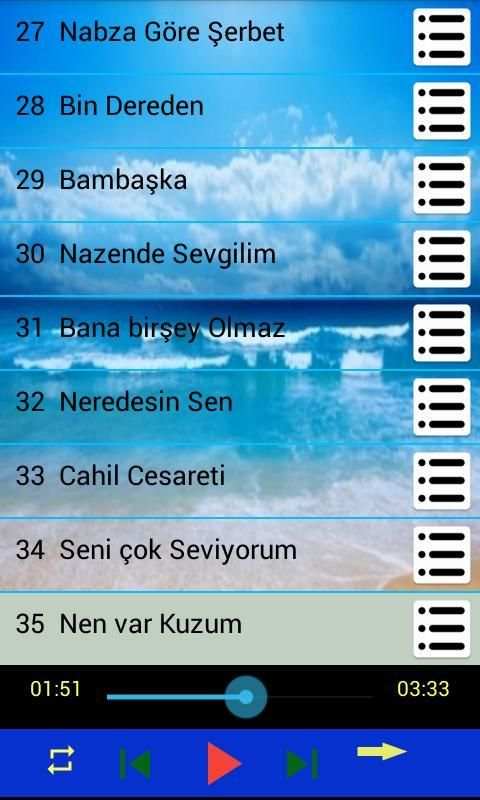 İrem Derici 40 şarkı internetsiz screenshot 1