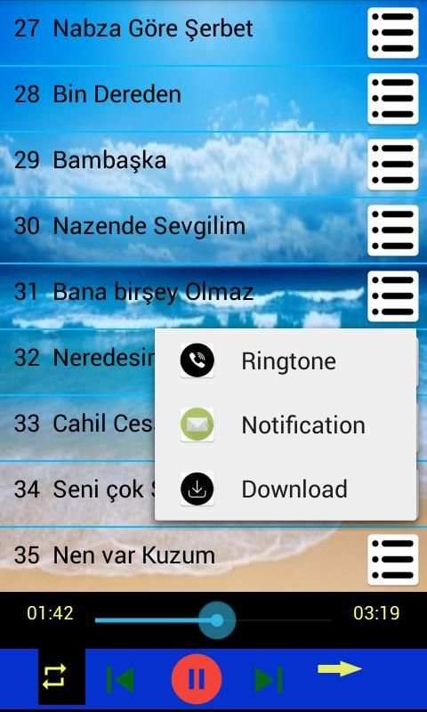 İrem Derici 40 şarkı internetsiz screenshot 2