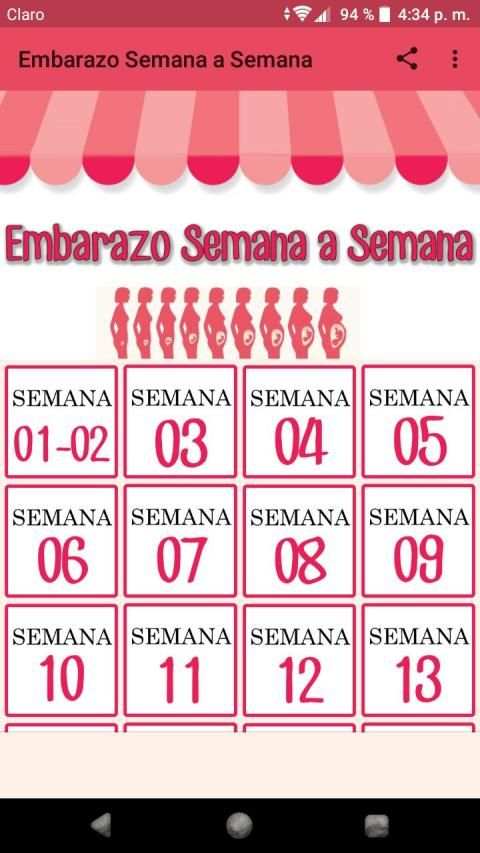 Embarazo Semana a Semana screenshot 5