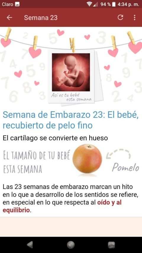 Embarazo Semana a Semana screenshot 4