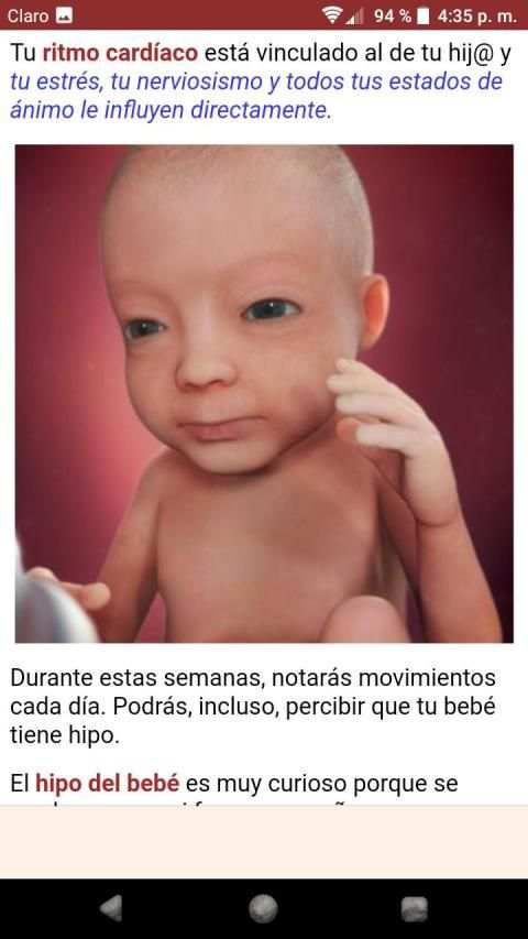 Embarazo Semana a Semana screenshot 3
