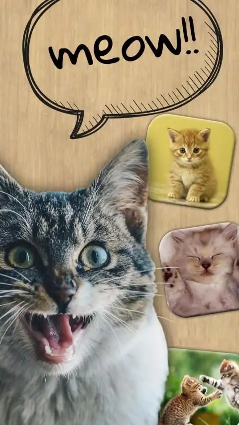 Animal Ringtones APK Download 2023 - Free - 9Apps Animal Ringtones APK Download 2023 - Free - 9Apps