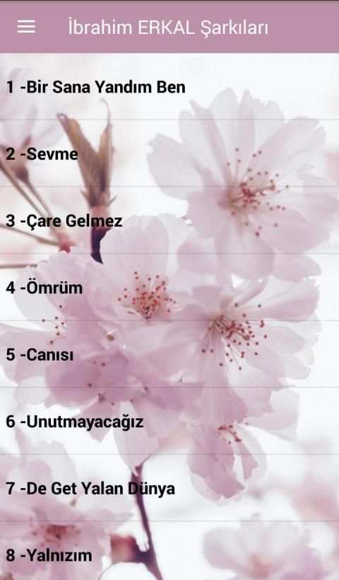 İbrahim Erkal Şarkıları İnternetsiz ( 40 Şarkı ) скриншот 6