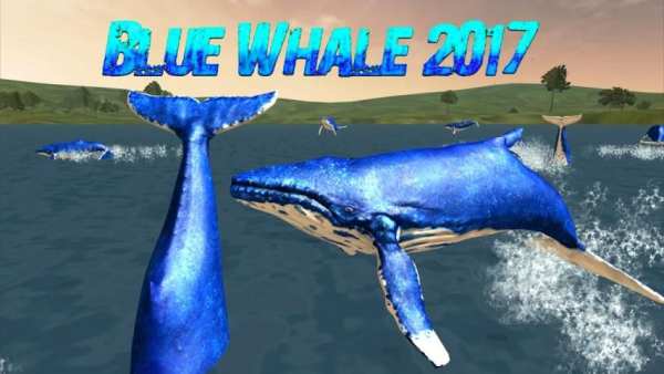 Blue Whale 2019 स्क्रीनशॉट 3