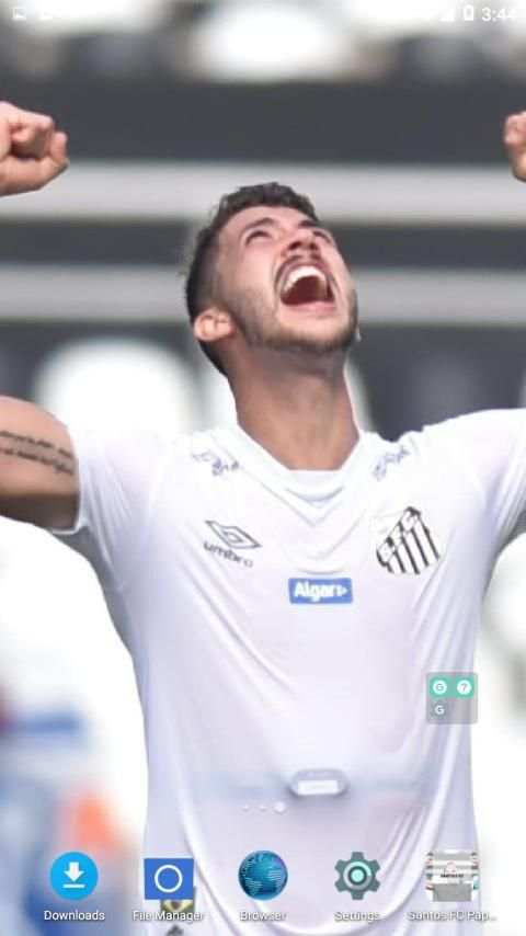 Papel de Parede do Time do Santos screenshot 3