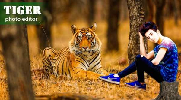 Tiger Photo Editer 2020 screenshot 2