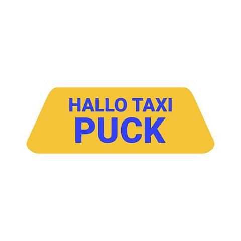Hallo Taxi Puck screenshot 3
