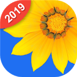 ikon Photo Gallery &amp; Album