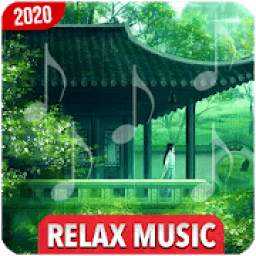 Relax Meditation Music: Sleep Sounds, Night Nature