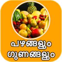 All Fruit Name And Its Benefits In Malayalam Daily