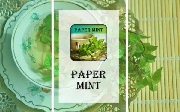 Papermint screenshot 1