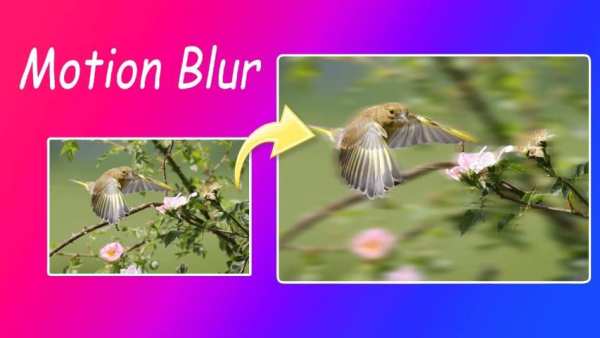 Automatic Blur Background स्क्रीनशॉट 1
