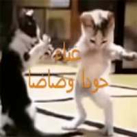 قطط حلوة رقص شرقي 2019 بدون انترنت
‎ on 9Apps