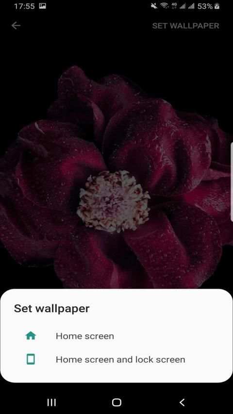Wallpapers 4K Live backgroud HD screenshot 5