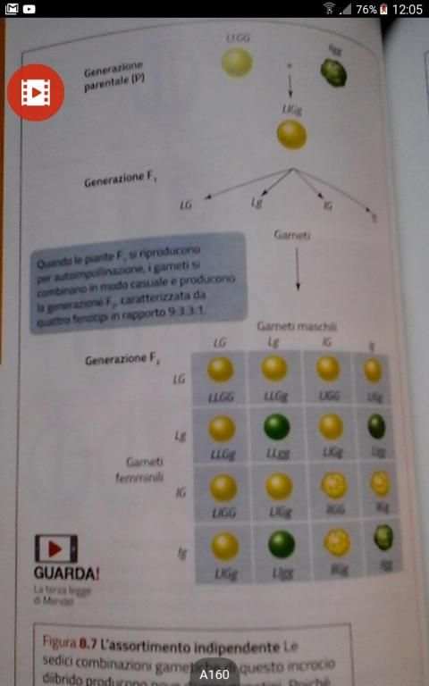 Guarda! screenshot 2