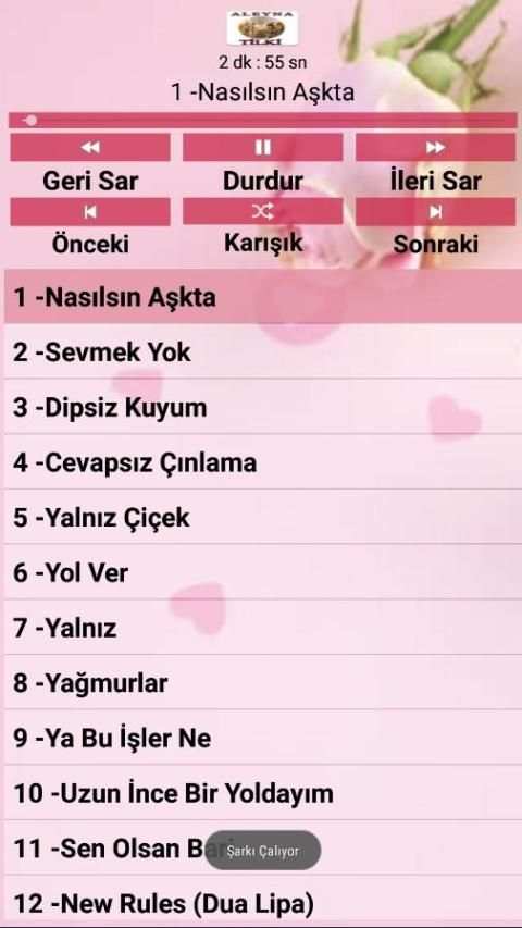 Aleyna TİLKİ Şarkıları ( İnternetsiz ) screenshot 2