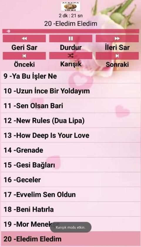 Aleyna TİLKİ Şarkıları ( İnternetsiz ) screenshot 1