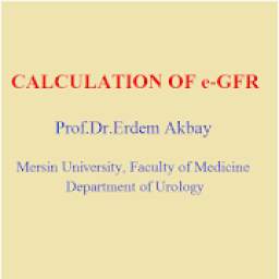 Estimated Glomerular Filtration Rate