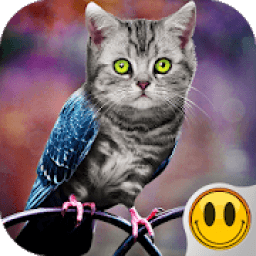 ikon Simulator Morph Animal